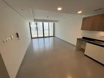 Fancy & Elegant With Great Amenities - SF1113
